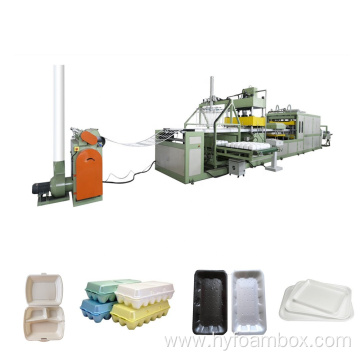 EPS Take Away Food Container Making Machine